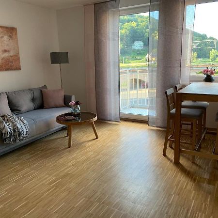 Luxurioese Stadtwohnungen In Koenigstein Екстериор снимка